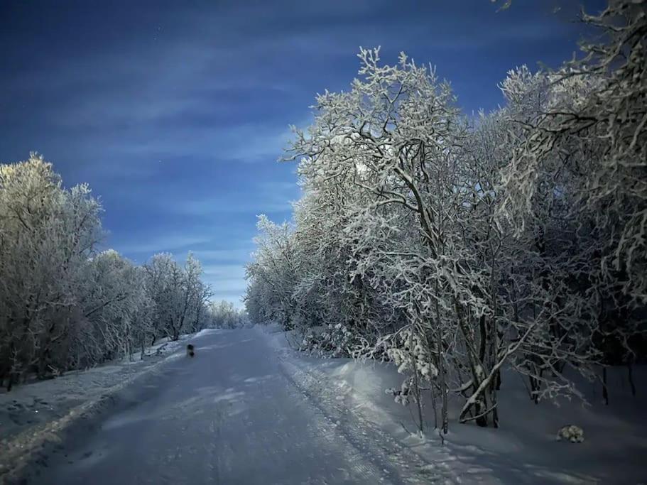 Leilighet I Rolig Gate Med Utsikt Og Gratis Parkering Tromsø Buitenkant foto