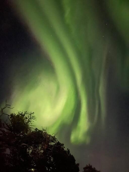 Leilighet I Rolig Gate Med Utsikt Og Gratis Parkering Appartement Tromsø Buitenkant foto