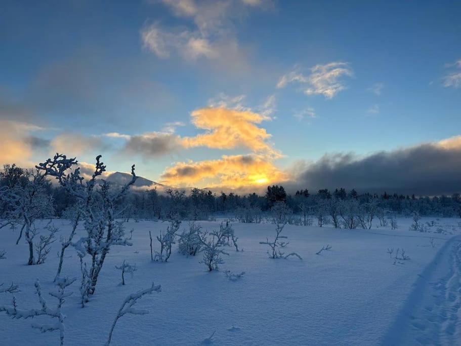 Leilighet I Rolig Gate Med Utsikt Og Gratis Parkering Appartement Tromsø Buitenkant foto